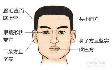 木型人面相|木形人的面相特征 五行面相木形人性格命运